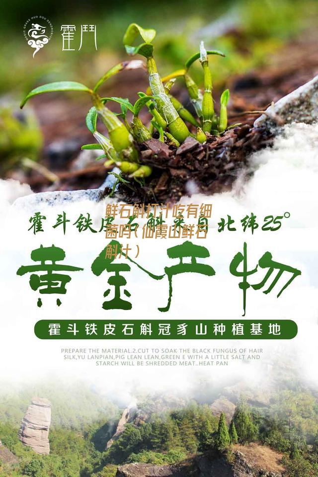 鲜石斛打汁吃有细菌吗