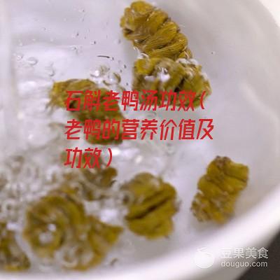 石斛老鸭汤功效