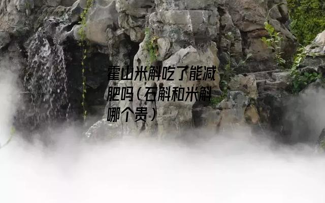 霍山米斛吃了能减肥吗