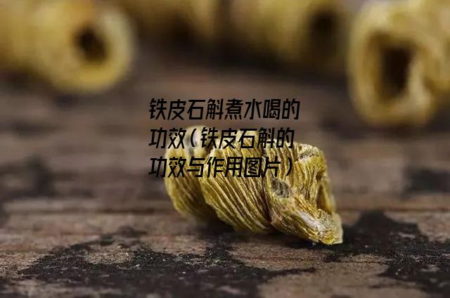 铁皮石斛煮水喝的功效