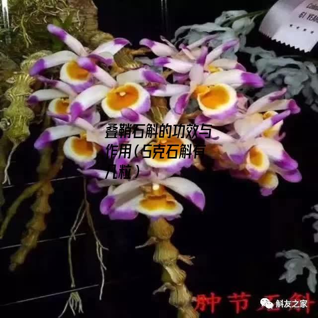 叠鞘石斛的功效与作用