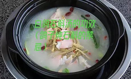 白鸽石斛汤的功效