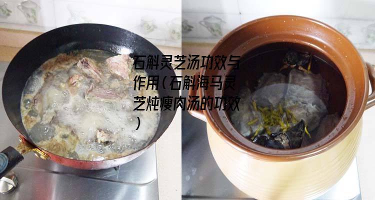 石斛灵芝汤功效与作用（石斛海马灵芝炖瘦肉汤的功效）