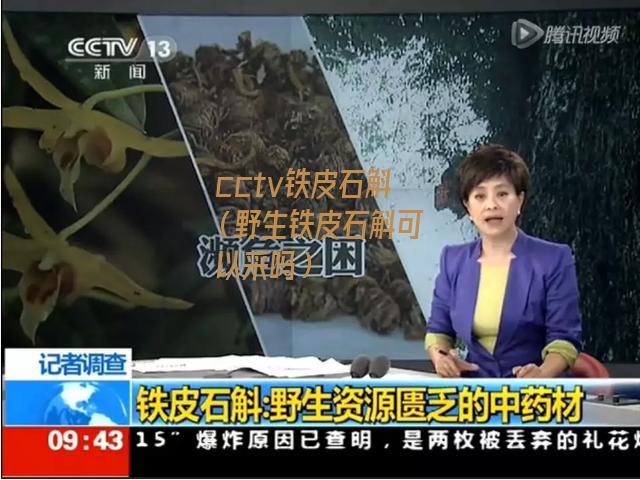 cctv铁皮石斛