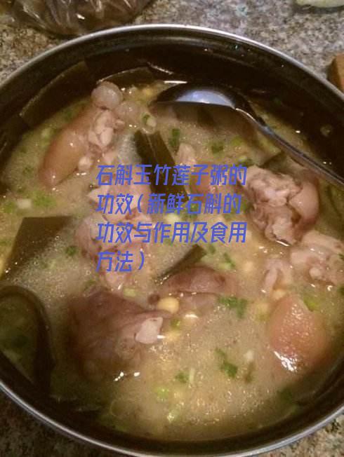 石斛玉竹莲子粥的功效（新鲜石斛的功效与作用及食用方法）