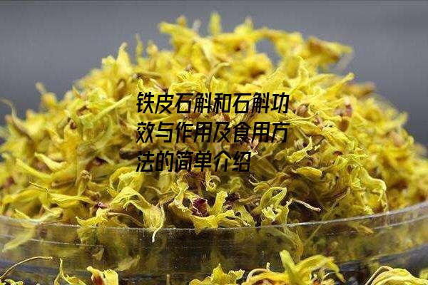 铁皮石斛和石斛功效与作用及食用方法的简单介绍