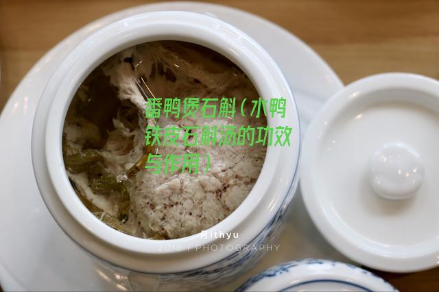 番鸭煲石斛