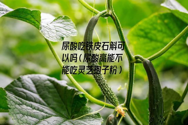 尿酸吃铁皮石斛可以吗