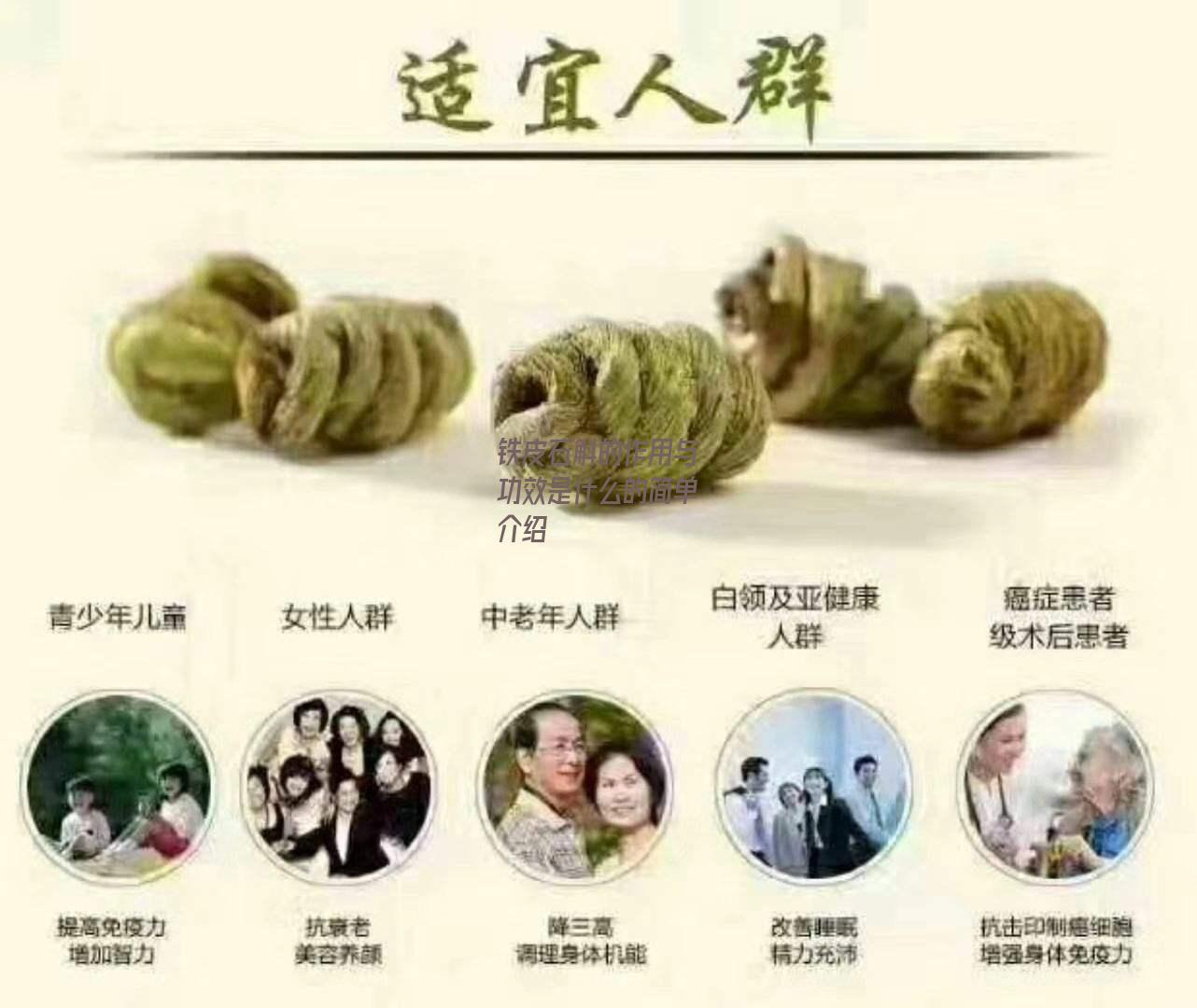 铁皮石斛的作用与功效是什么的简单介绍