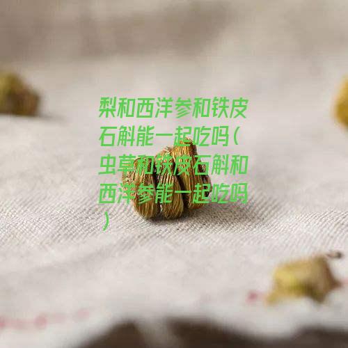 梨和西洋参和铁皮石斛能一起吃吗（虫草和铁皮石斛和西洋参能一起吃吗）