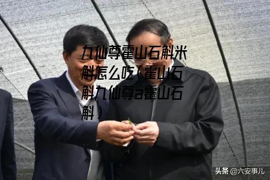 九仙尊霍山石斛米斛怎么吃