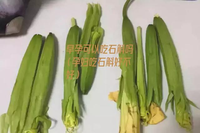 早孕可以吃石斛吗