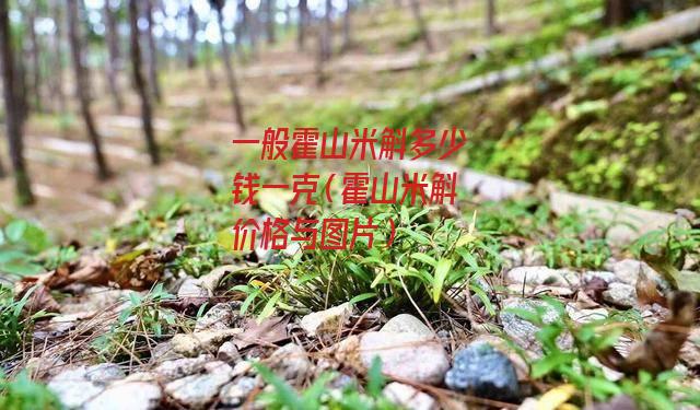 一般霍山米斛多少钱一克