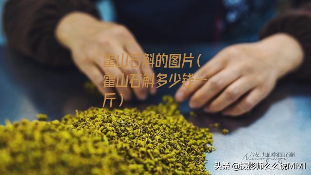 霍山石斛的图片