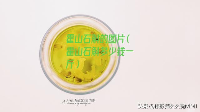 霍山石斛的图片