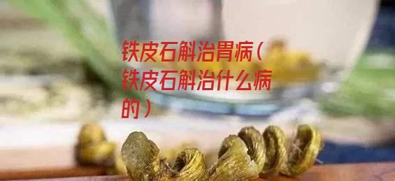 铁皮石斛治胃病（铁皮石斛治什么病的）