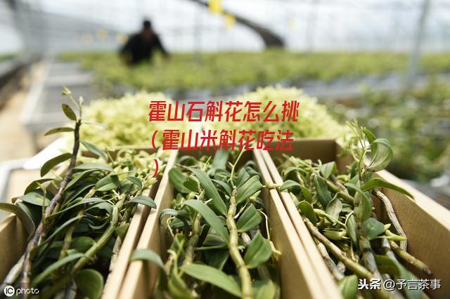 霍山石斛花怎么挑