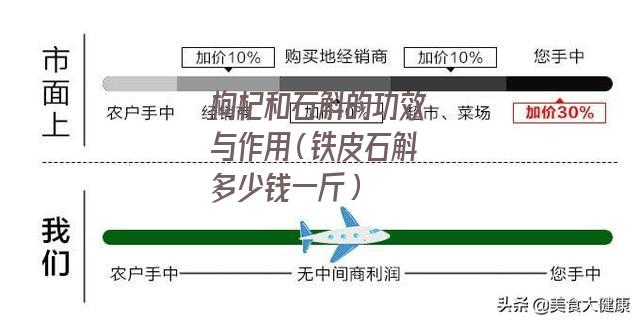 枸杞和石斛的功效与作用