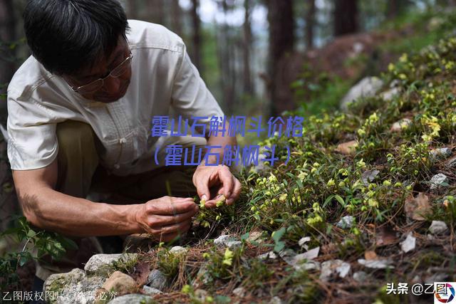 霍山石斛枫斗价格