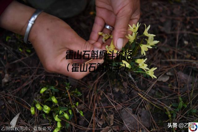 霍山石斛枫斗价格