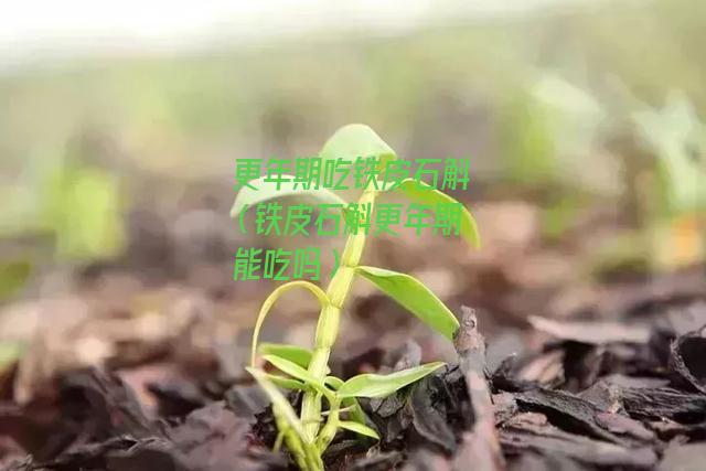 更年期吃铁皮石斛