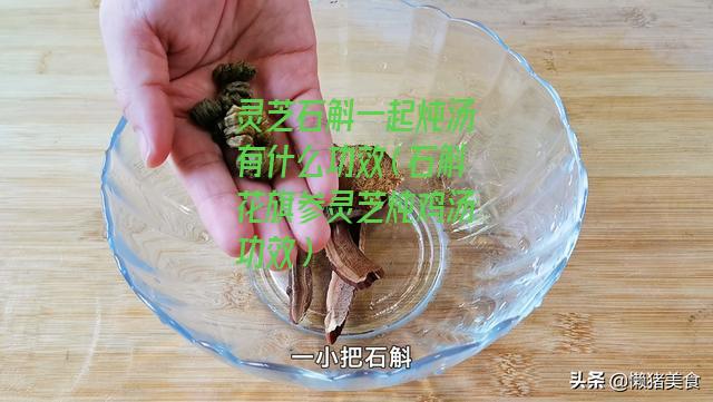 灵芝石斛一起炖汤有什么功效