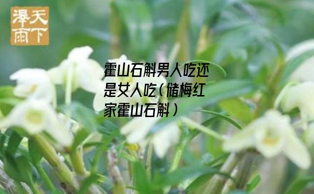 霍山石斛男人吃还是女人吃