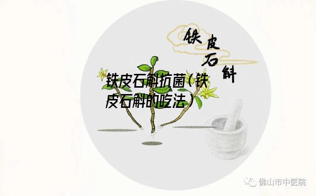 铁皮石斛抗菌