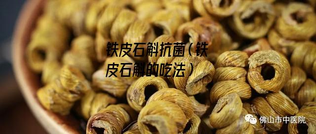 铁皮石斛抗菌