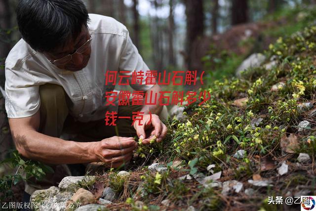 何云峙霍山石斛