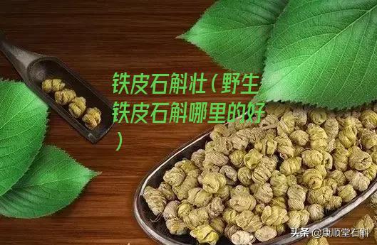 铁皮石斛壮