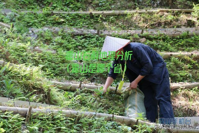 霍山石斛地理分析