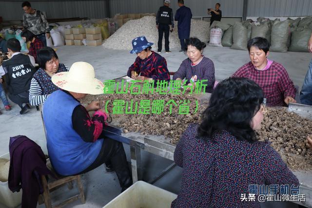 霍山石斛地理分析