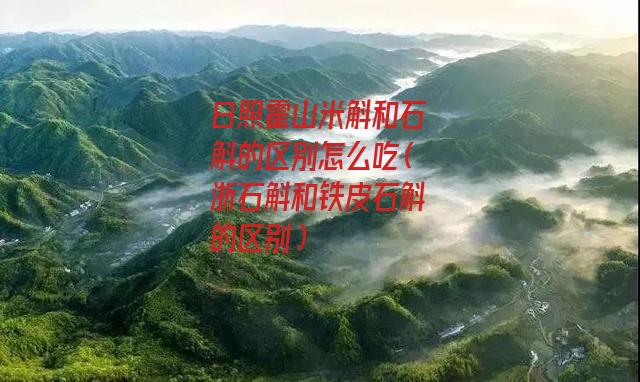 日照霍山米斛和石斛的区别怎么吃