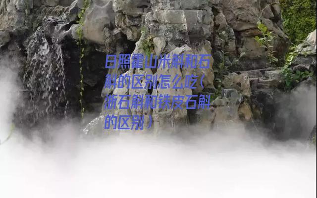 日照霍山米斛和石斛的区别怎么吃