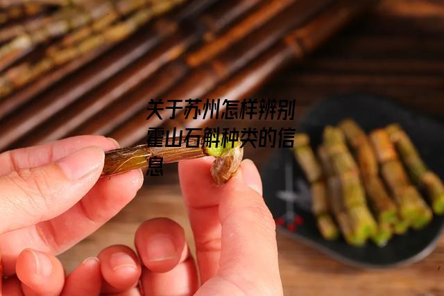 苏州怎样辨别霍山石斛种类