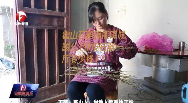 霍山石斛确能降尿酸么