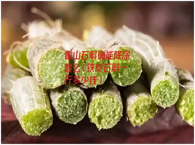 霍山石斛确能降尿酸么