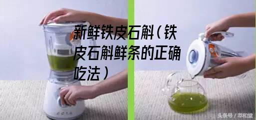 新鲜铁皮石斛