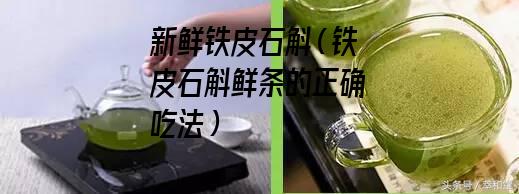 新鲜铁皮石斛