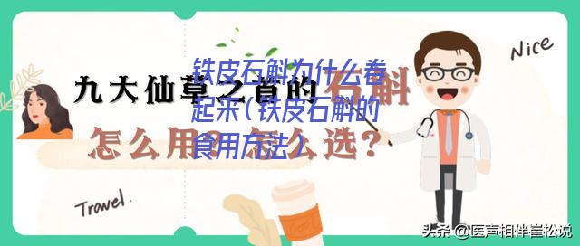 铁皮石斛为什么卷起来