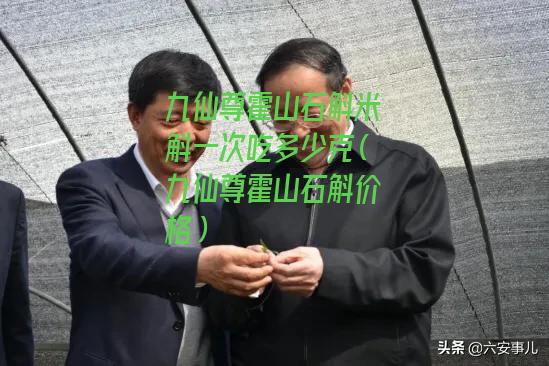 九仙尊霍山石斛米斛一次吃多少克