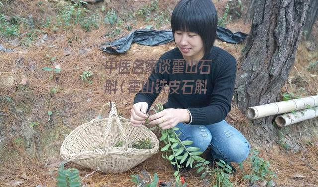 中医名家谈霍山石斛