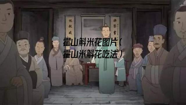 霍山斛米花图片