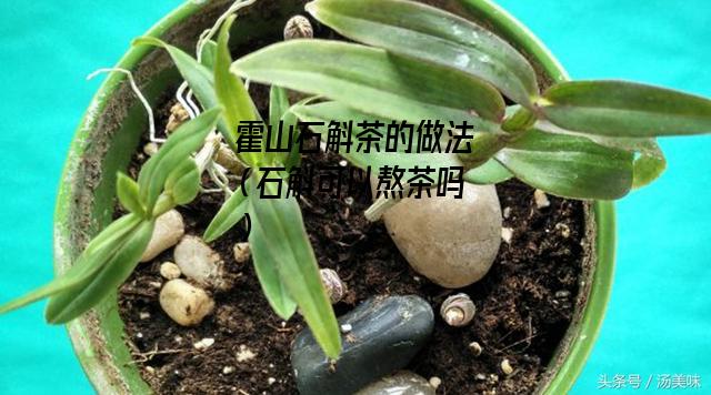 霍山石斛茶的做法