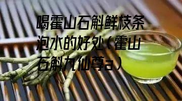 喝霍山石斛鲜枝条泡水的好处