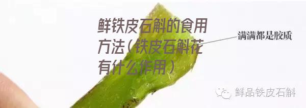 鲜铁皮石斛的食用方法