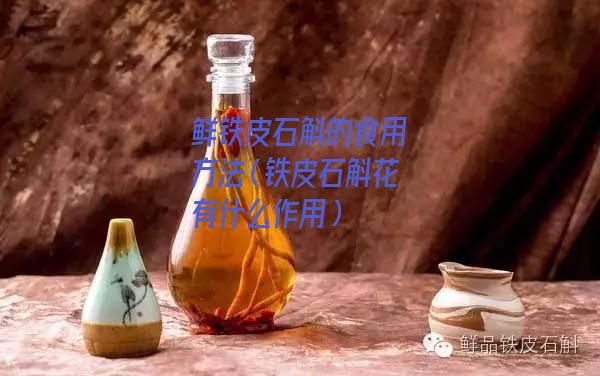 鲜铁皮石斛的食用方法