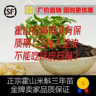 霍山石斛有没有保质期（三种人坚决不能吃铁皮石斛）