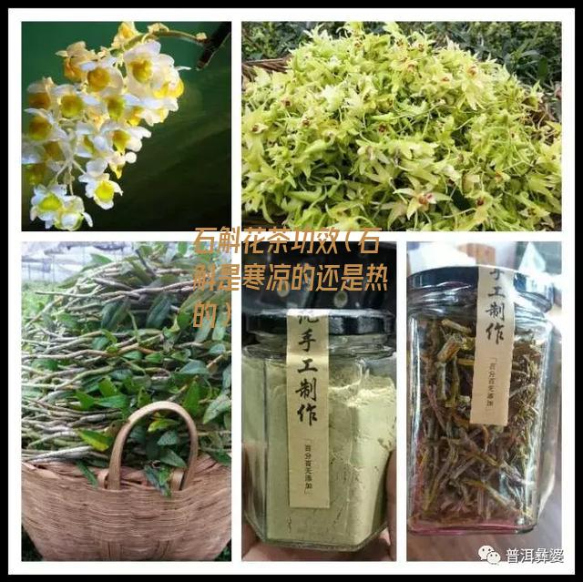 石斛花茶功效